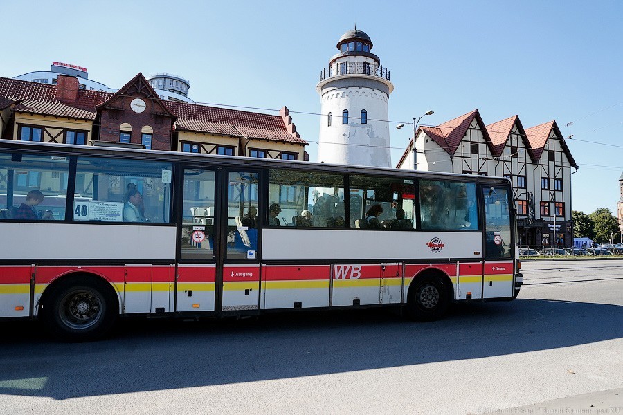 Мэрия: увеличим количество общественного транспорта в Калининграде в «часы пик»