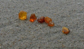 Суд оштрафовал фирму Виктора Богдана за то, что на её земле добывался янтарь