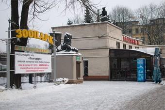 The End: чем закончилось «дело о входе в зоопарк»