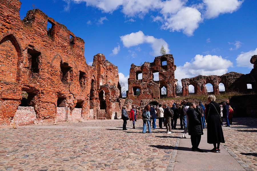 В Калининградскую область не могут завезти лес для восстановления замка Рагнит