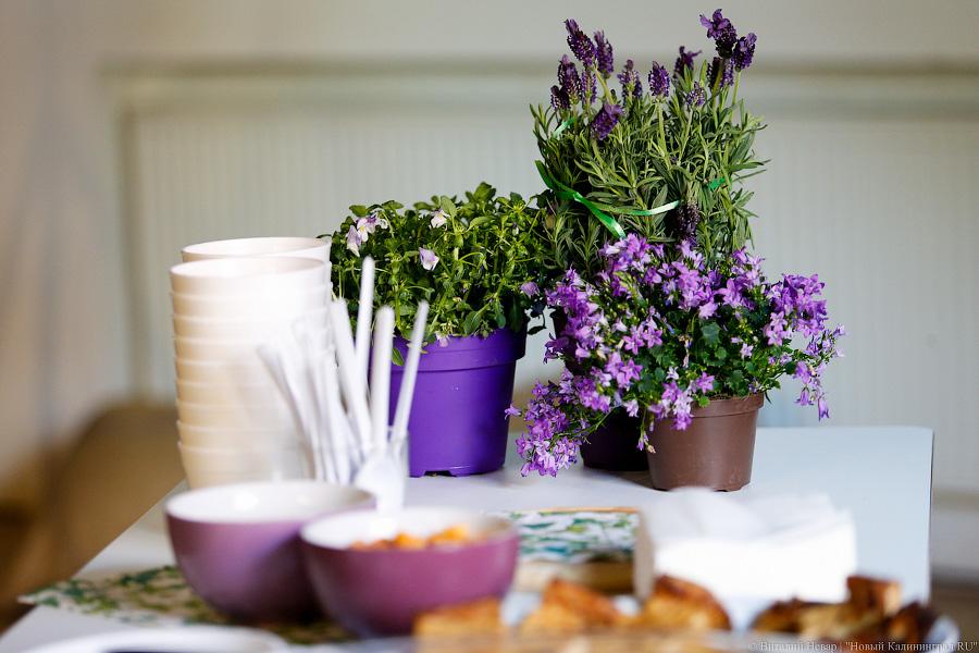 Обед ботаника: как готовили еду из «подножного» корма в «Воротах»