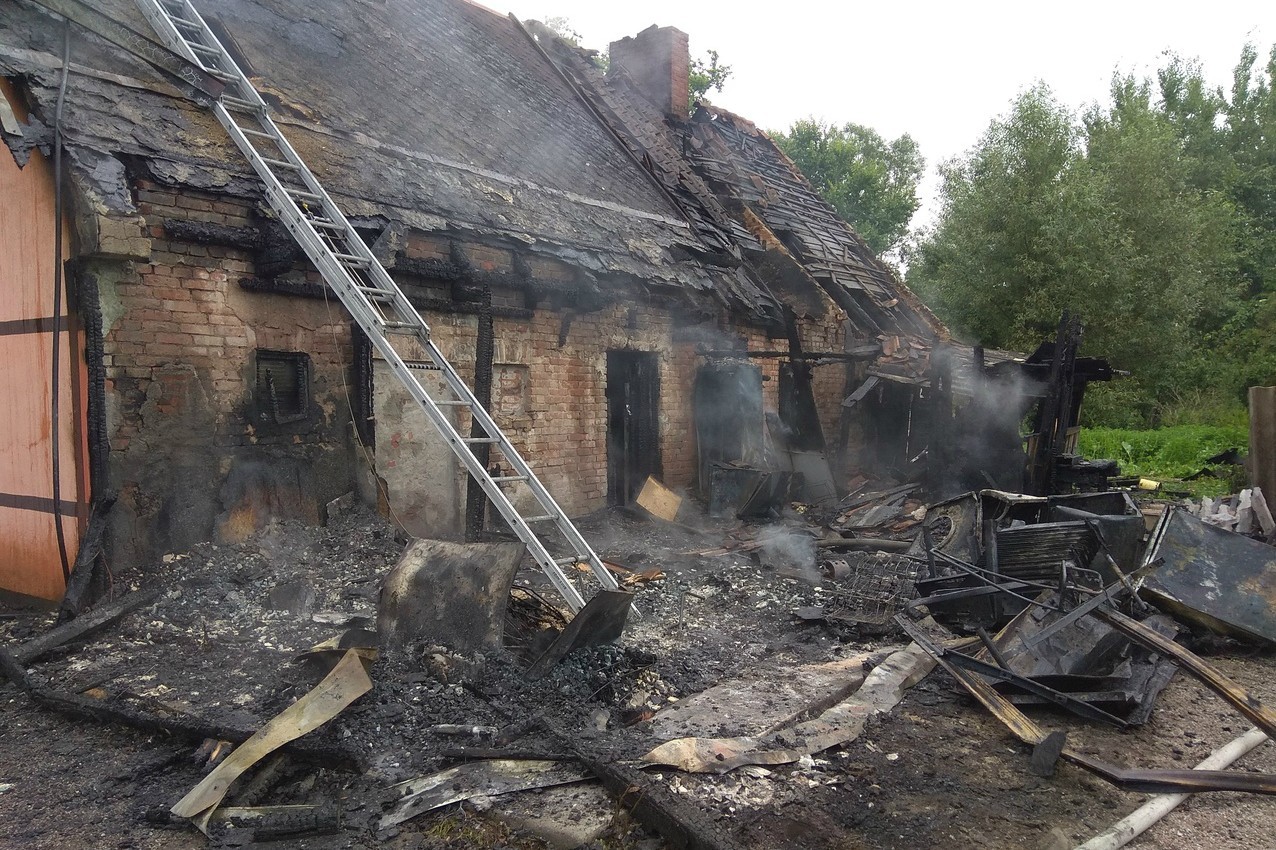 При пожаре в приюте для животных под Гурьевском погибли семь собак и три кота