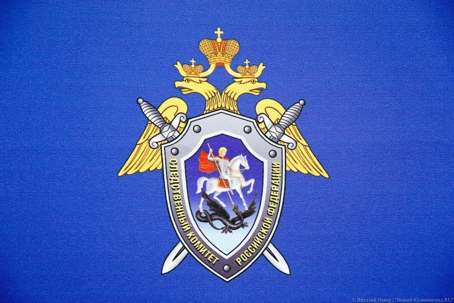 СК: директора МП «Альта» подозревают в хищении, возбуждено уголовное дело