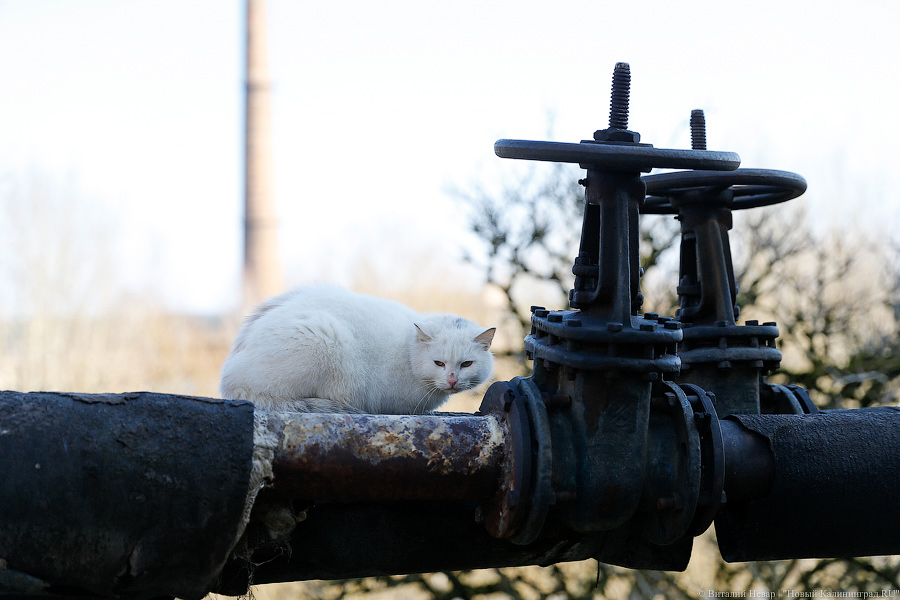 Горвласти: перезапуск отопительного сезона не отразится на платежках