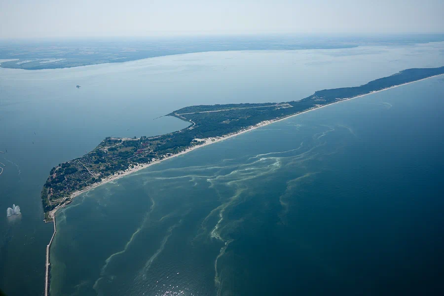 Беспрозванных: субсидии на балтийский паром увеличат в полтора раза