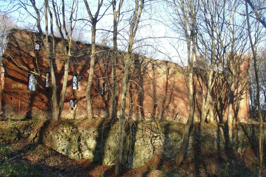 На руинах замка Бальга хотят разбить мемориальный парк