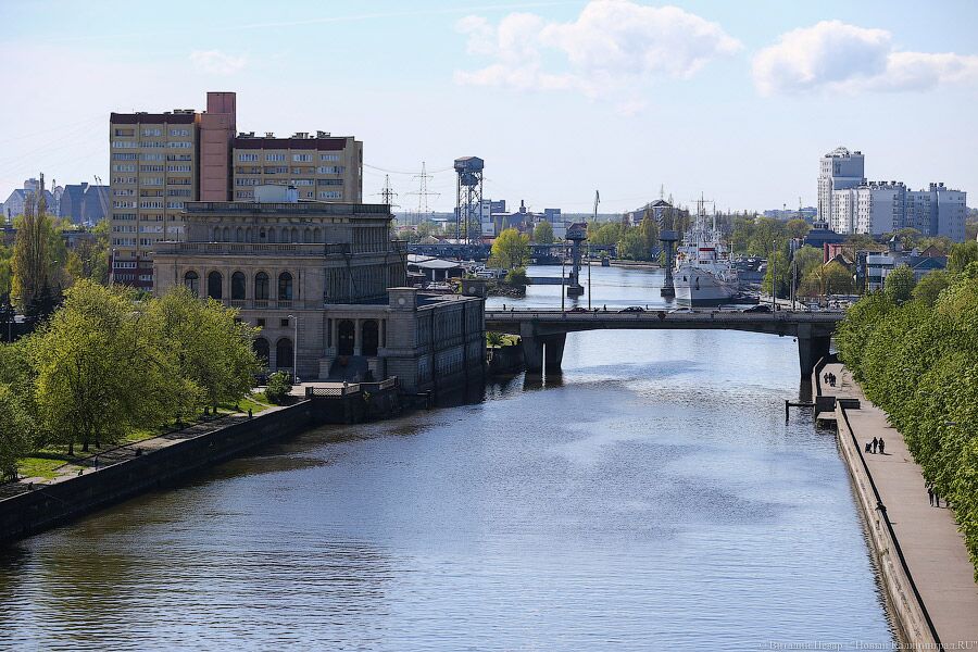 Власти Калининграда хотят инициировать штрафы за несанкционированное купание