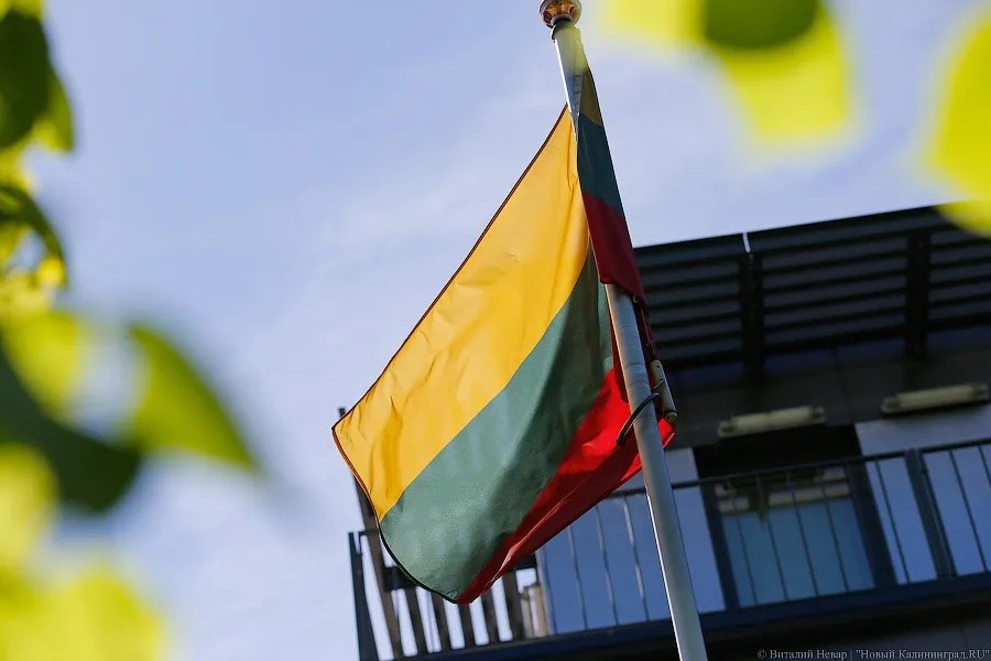Армия Литвы рассматривает закупку американской ИИ-системы Palantir