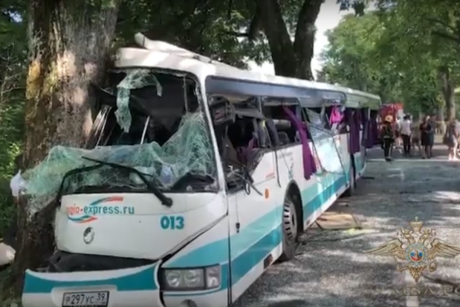 Осужден водитель автобуса, устроивший ДТП с погибшей из-за попытки сделать фото (видео)