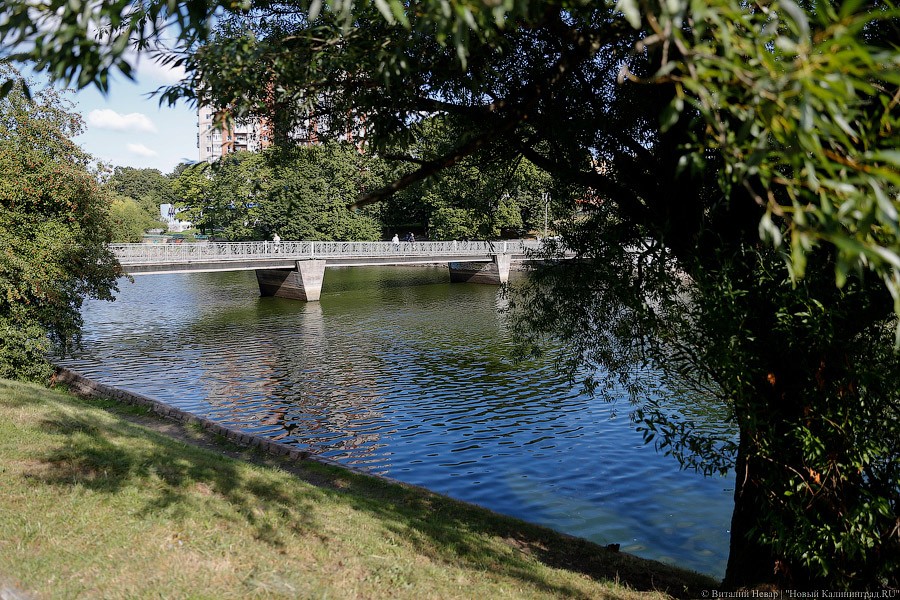 Финансирование благоустройства Нижнего озера хотят сократить (инфографика)