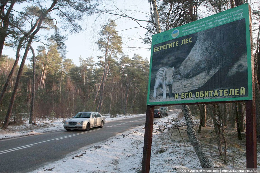 Из фотоснимков отходов посетителей Куршской косы создали выставку