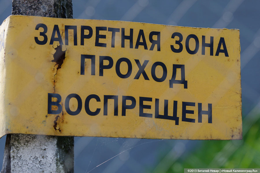 В Неманском округе дети нашли в лесу 21 мину времен войны