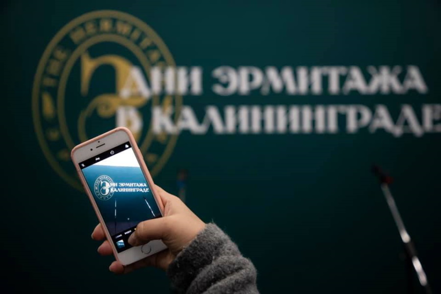 Дни Эрмитажа пройдут в Музее изобразительных искусств с 17 ноября по 11 декабря