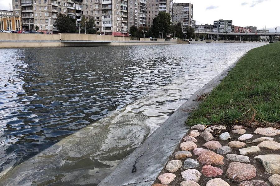 Росприроднадзор возбудил дело из-за сбросов нечистот в Преголю у Острова