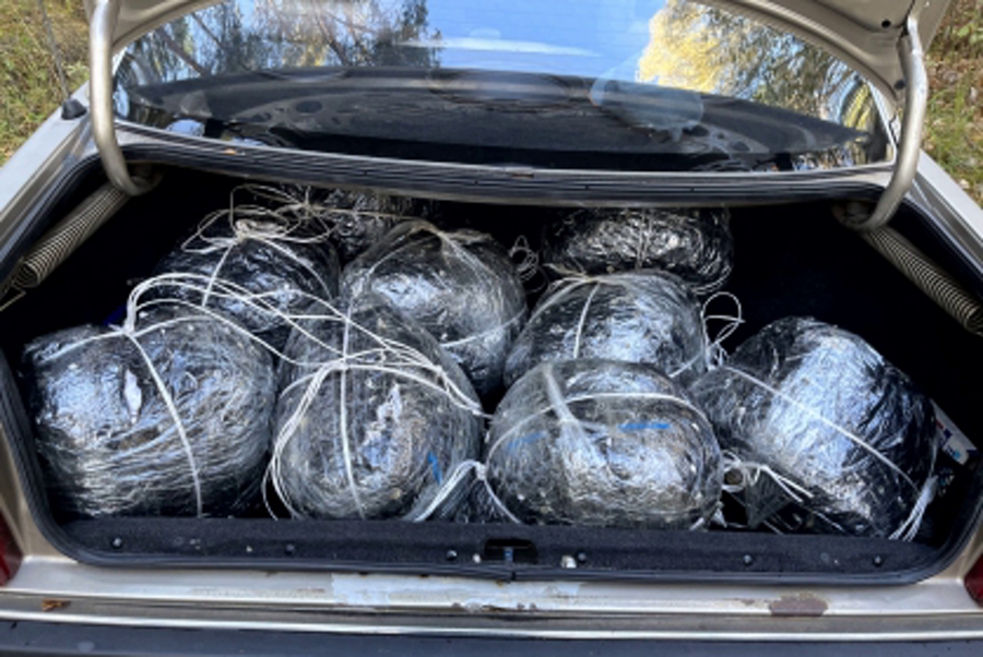 СК: в Советске задержали контрабандистов при попытке перевезти 500 кг янтаря в Литву (видео)