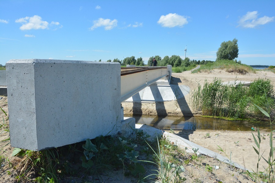 Ради велодорожки от «косы до косы» под Зеленоградском намерены вырубить часть леса