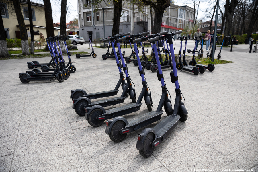 Калининградская область вошла в топ популярных направлений у самокатчиков 