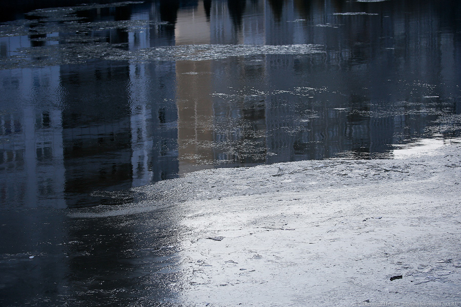 В Калининградской области обещают нежаркие дождливые выходные