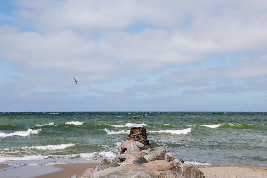 Прокуратура оспаривает разрешение на строительство дома отдыха в Зеленоградске