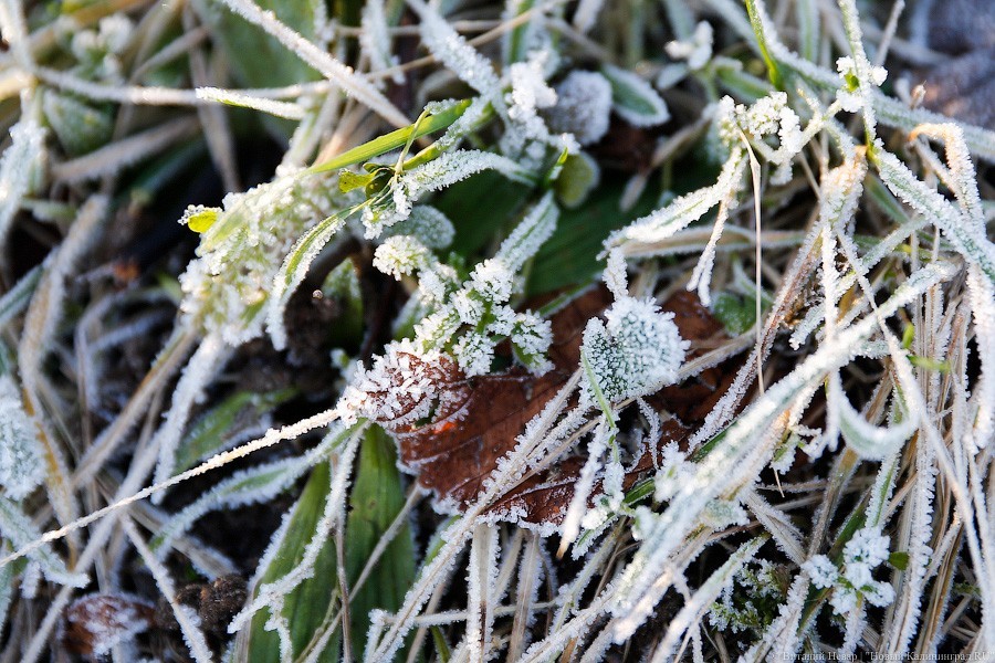 МЧС: в ночь на воскресенье температура в Калининградской области опустится до -13