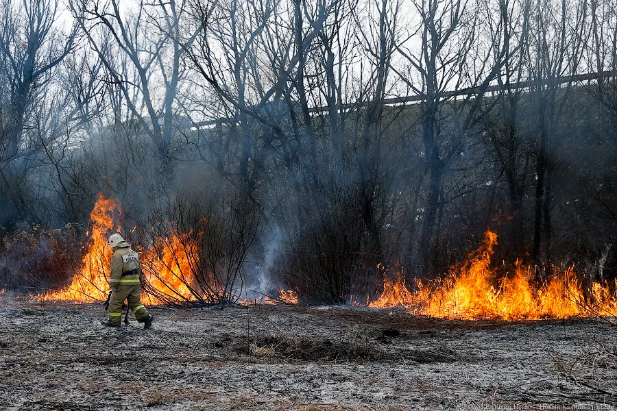 МЧС: палы прошлогодней травы в регионе охватили более 250 га