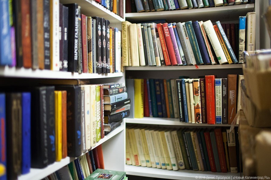 В Калининграде выпустили детскую книгу о Кристионасе Донелайтисе