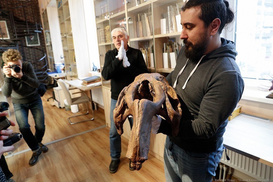 Облако планктона: в Музее Мирового океана готовят выставку актуального искусства