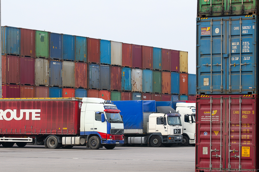 Перевозчик: литовская электронная очередь увеличивает ожидание на несколько суток