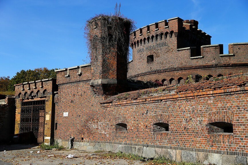 Алиханов пообещал выделить средства на Башню Врангеля в 2020 году