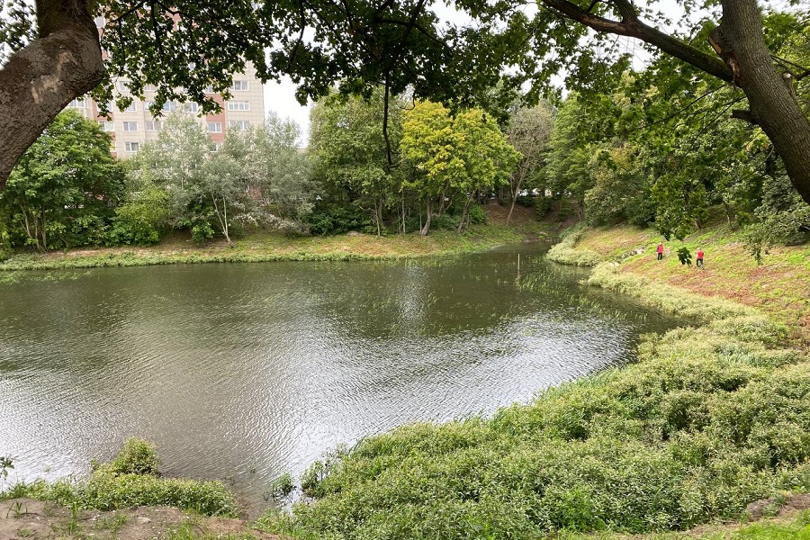 Прокуратура проверяет информацию о массовой гибели уток в Ялтинском пруду