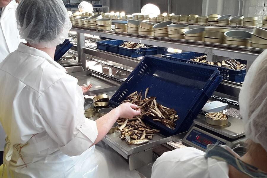 Лютаревич прогнозирует 10-15% рост цен на рыбные консервы