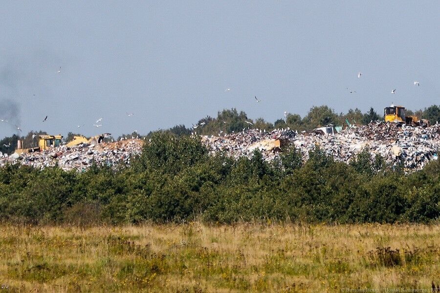 На мусорном полигоне в поселке Круглово возник пожар