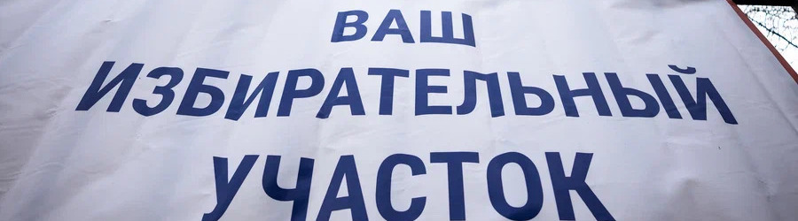 Новости Калининграда: предвыборные хлопоты, таможенный «улов» и вакансии недели