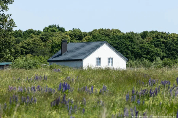 Вечерний @Калининград: дачи под дорогу, минус школы и рынок вакансий