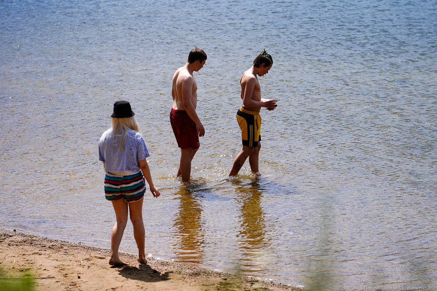 В отдельные дни лета на новом пляже у СНТ «Мечта» отдыхали до 1700 человек