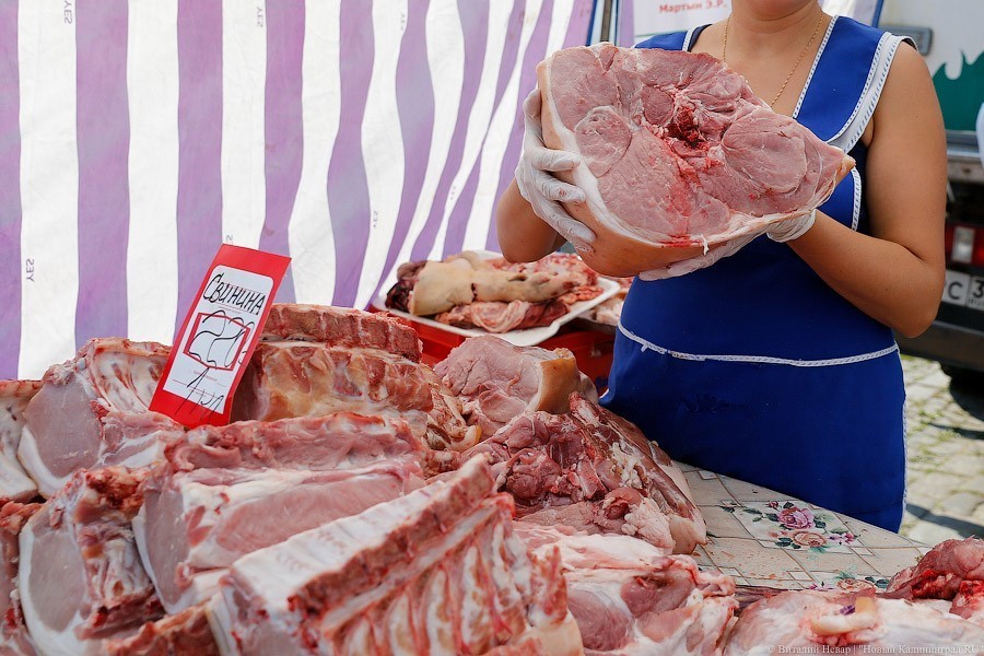 Прибыль не пострадавших от АЧС калининградских свиноводов выросла на 77%