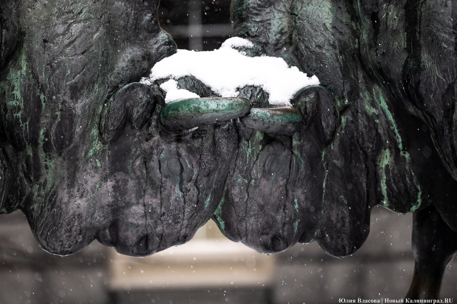 Погода в Калининграде 12 января 