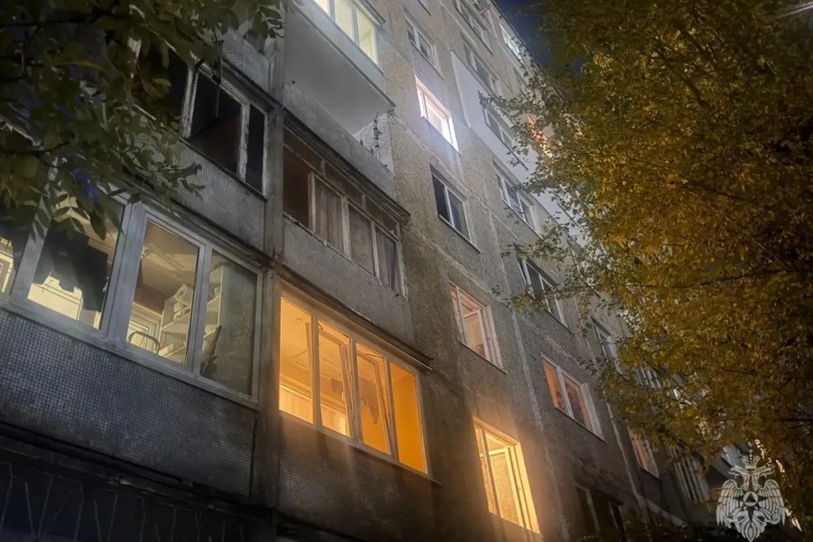 В Калининграде при пожаре погибла женщина и больше 20 кошек