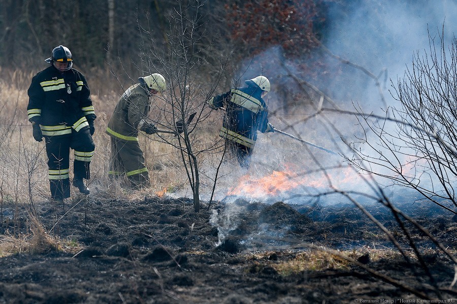 За сутки пожарные 58 раз выезжали тушить горящую траву