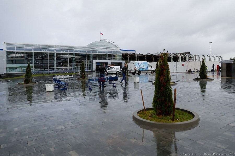 «Победа» планирует запустить авиарейсы из Калининграда в Петербург