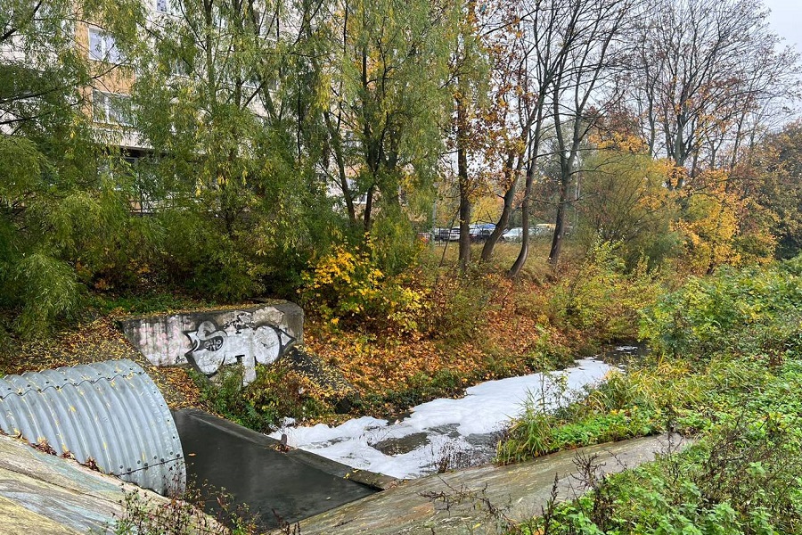 Прокуратура обнаружила, что Литовский ручей загрязняет городская ливневка