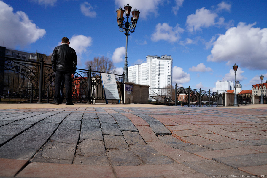 Дефекты для туриста: состояние Набережной Ветеранов в Калининграде (фото)     