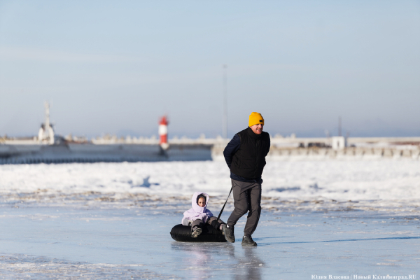 Балтика во льдах: как выглядит побережье после рекордных морозов