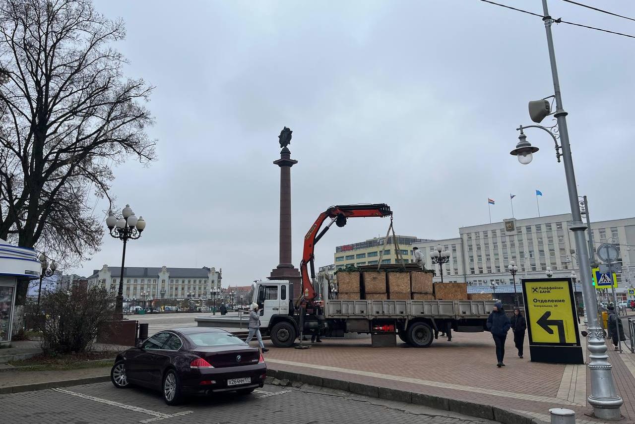 В Калининграде начинают украшать площадь Победы к Новому году (фото)