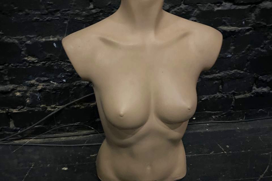 «Дом китобоя» ищет женские торсы