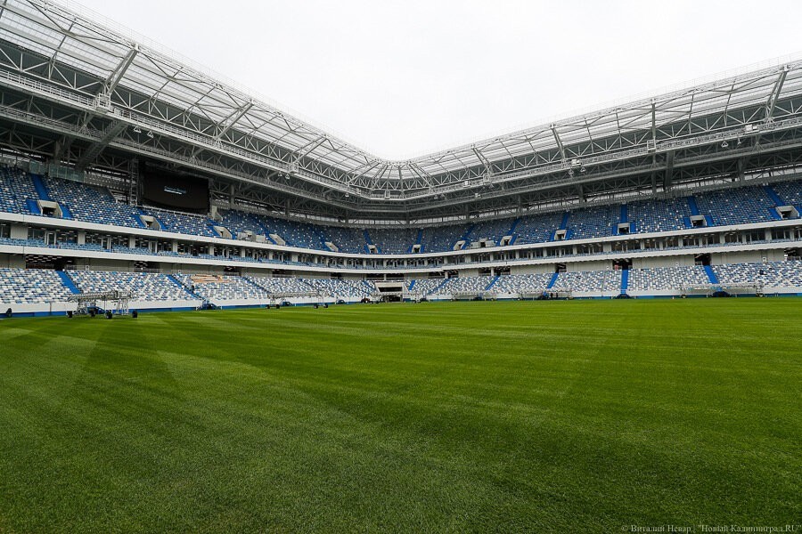 Из областного бюджета выделяют 9 млн на уход за газоном на стадионе «Калининград»