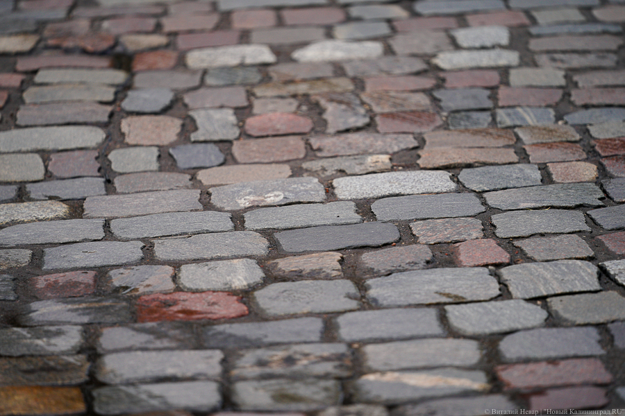 Антон Алиханов заступился за брусчатку на улице Галицкого