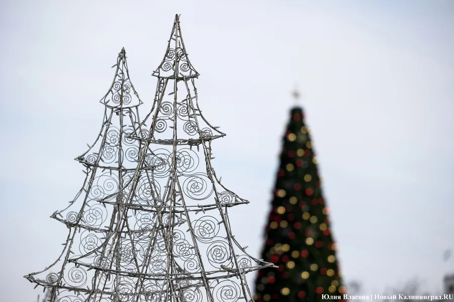 «Сможем обойтись»: Дятлова назвала условия покупки новой ёлки в 2025 году