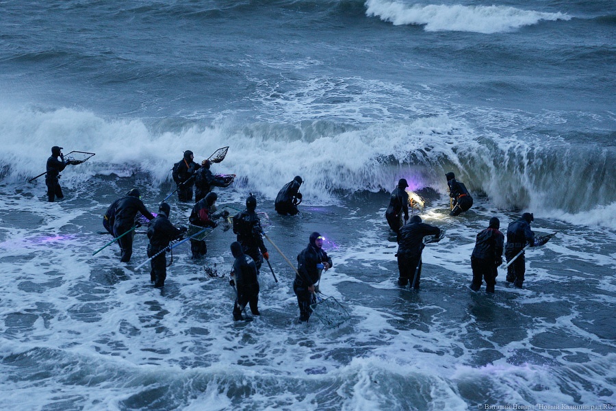 Вода в балтийском море сейчас в янтарном