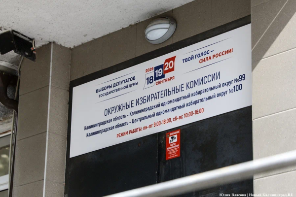 Москвичи, элистинец и омич: кто баллотируется в Госдуму от Калининградской области